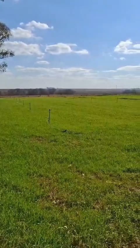 Exceptional 2 House 150 Ha farm for sale.