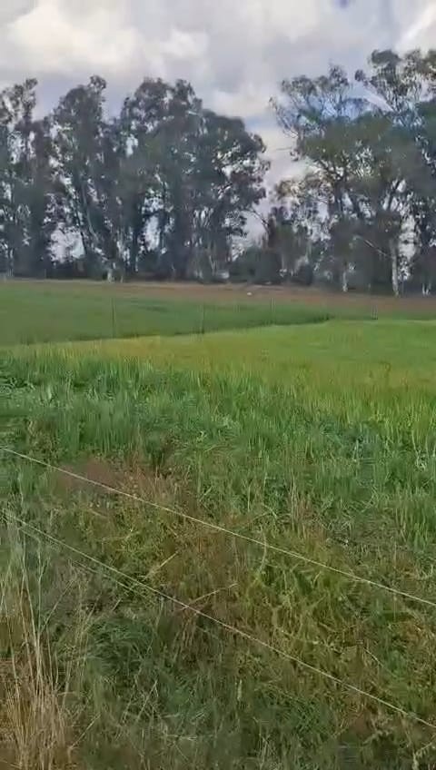 Exceptional 2 House 150 Ha farm for sale.