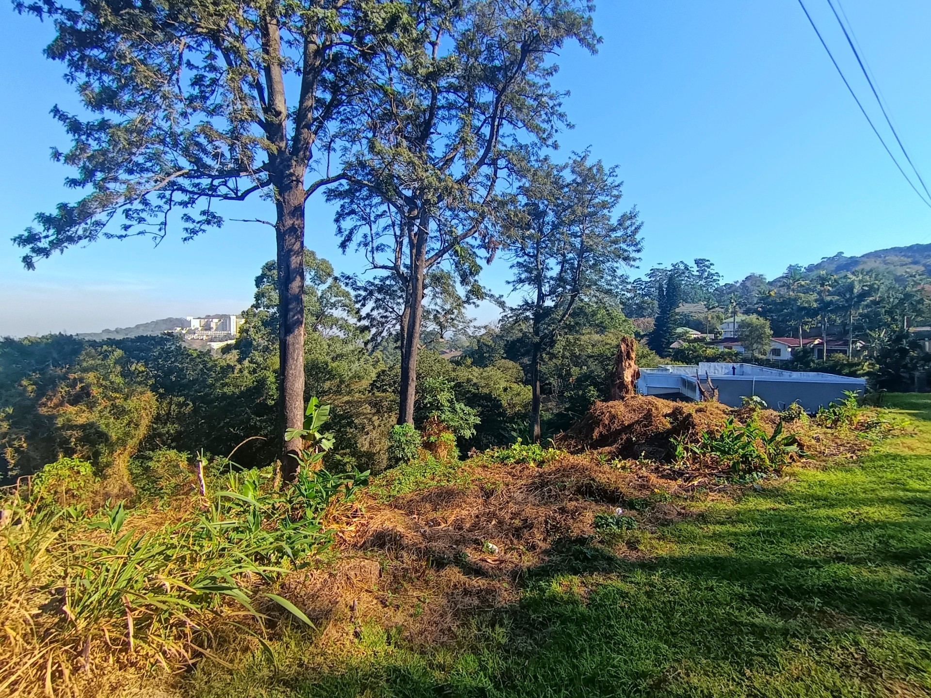 Rare 3,493 m² Vacant Stand in the Heart of Cowies Hill