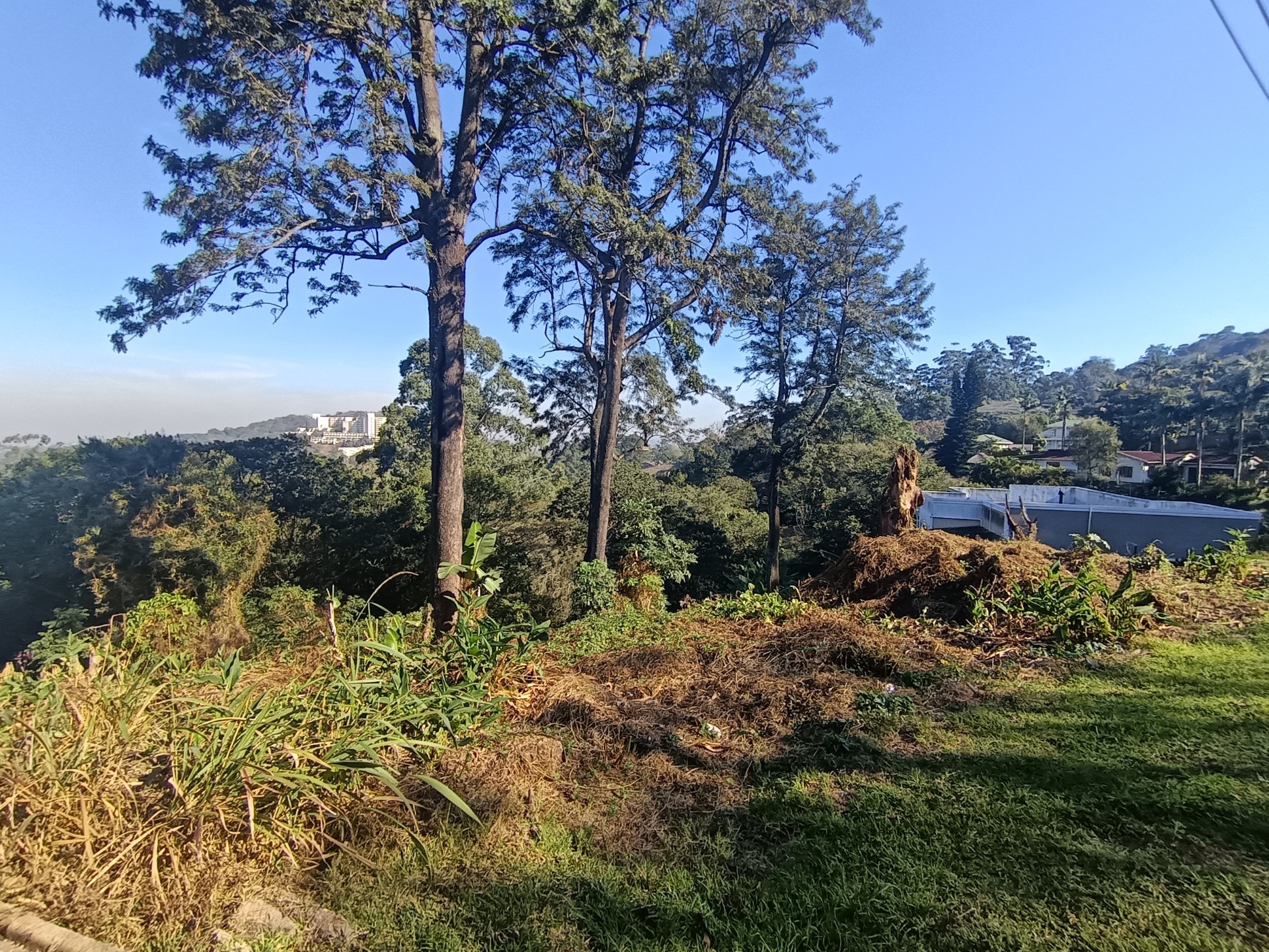 Rare 3,493 m² Vacant Stand in the Heart of Cowies Hill