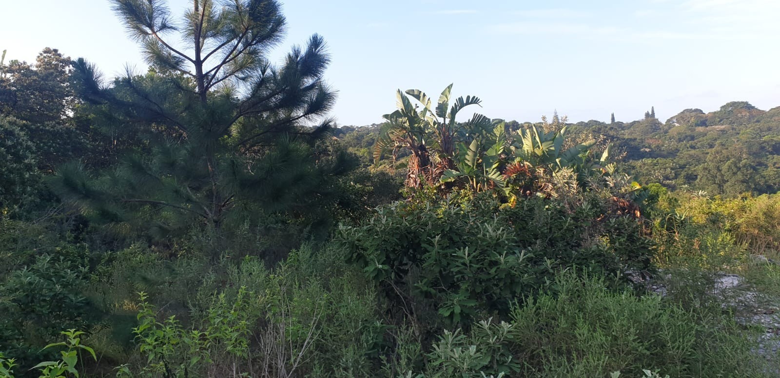 Vacant Land For Sale in Uvongo, Margate, KwaZulu Natal