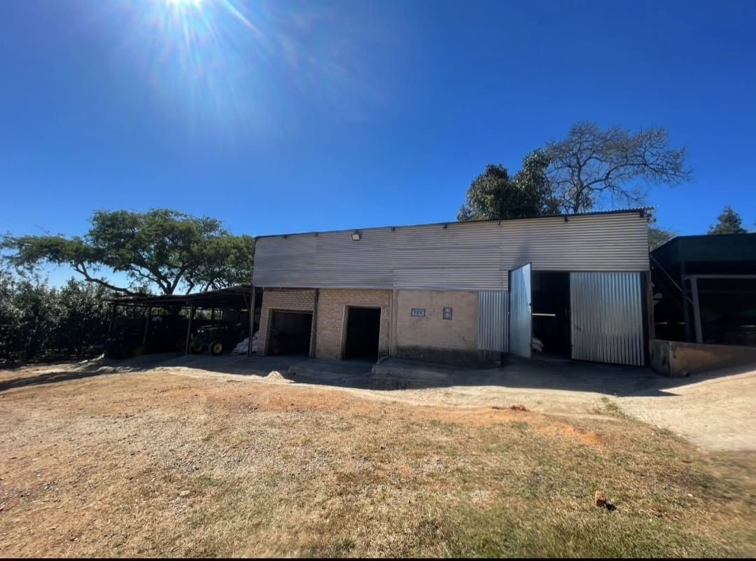 Commercial Macadamia Farm near Nelspruit