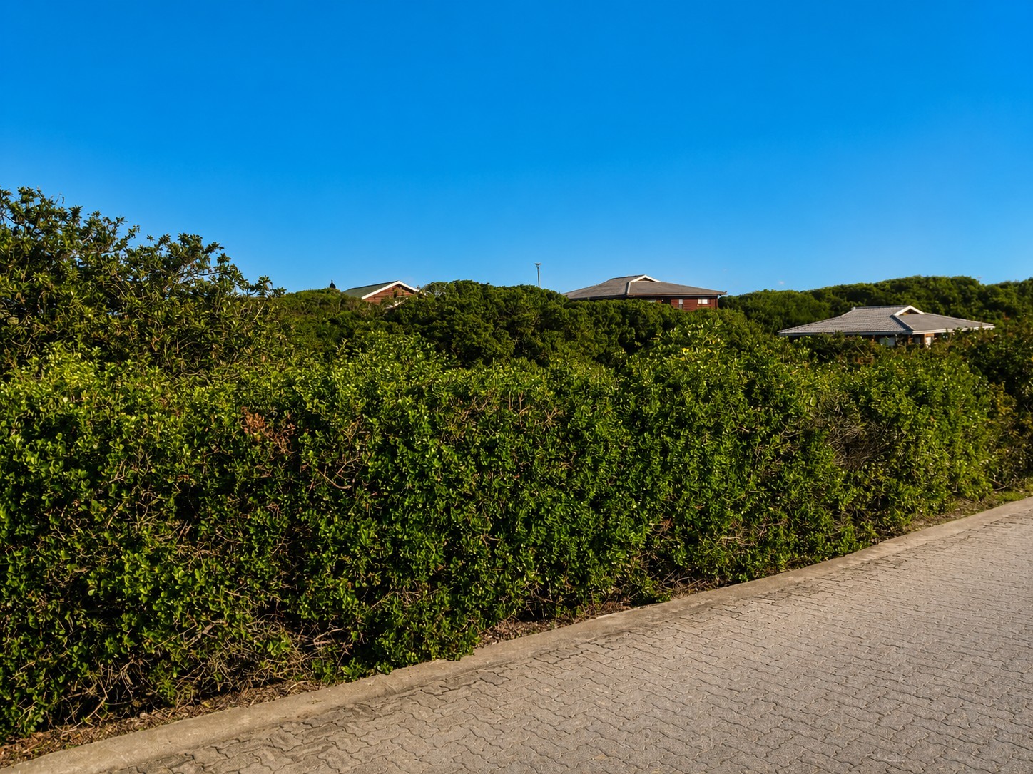 Vacant Land for sale in Dwarswegstrand, Groot Brakrivier, 300 m²