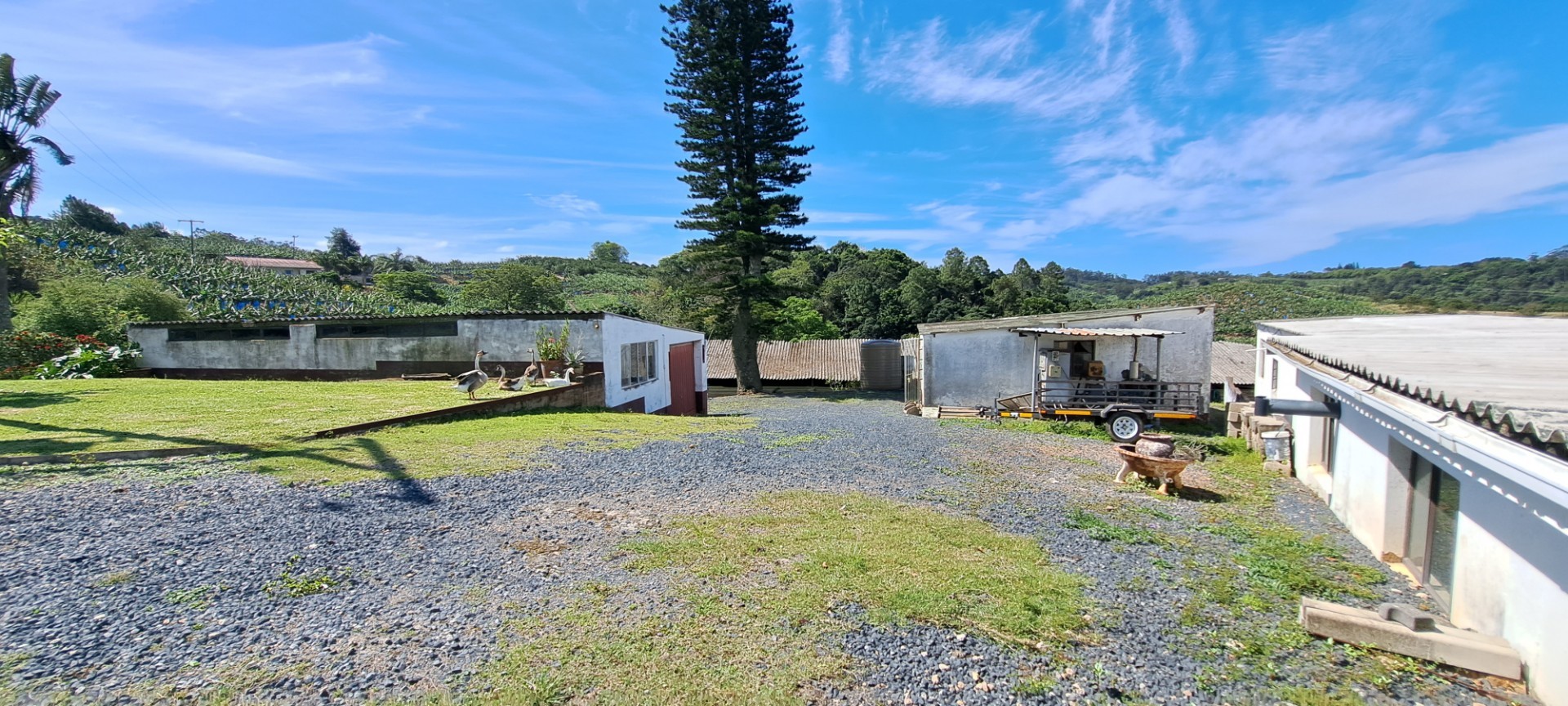 Income generator! Farm For Sale in Ramsgate, Margate, KwaZulu Natal