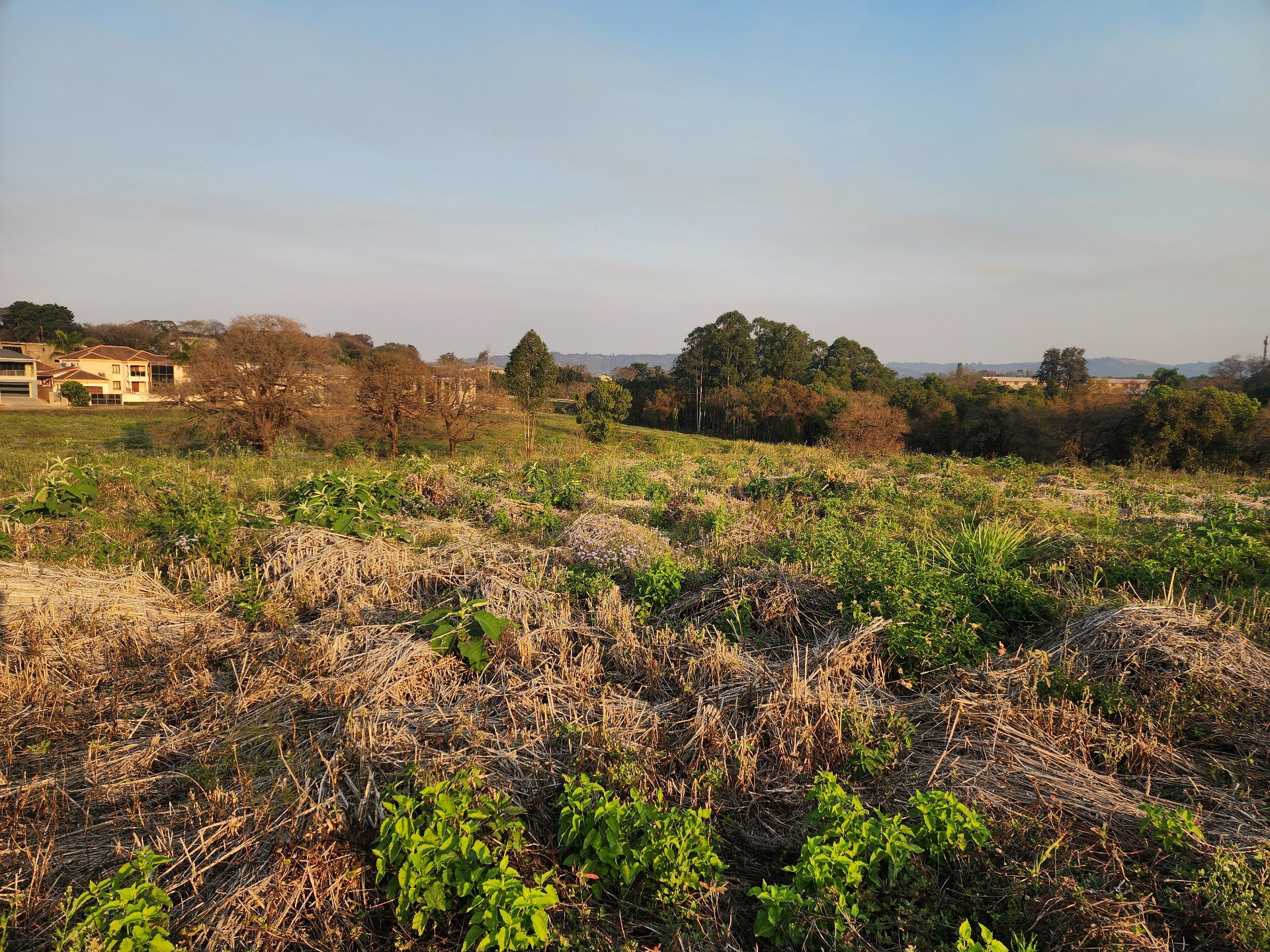 Prime Development Land in Prestigious Riverside Estate,  Approved for 12 Residential Units