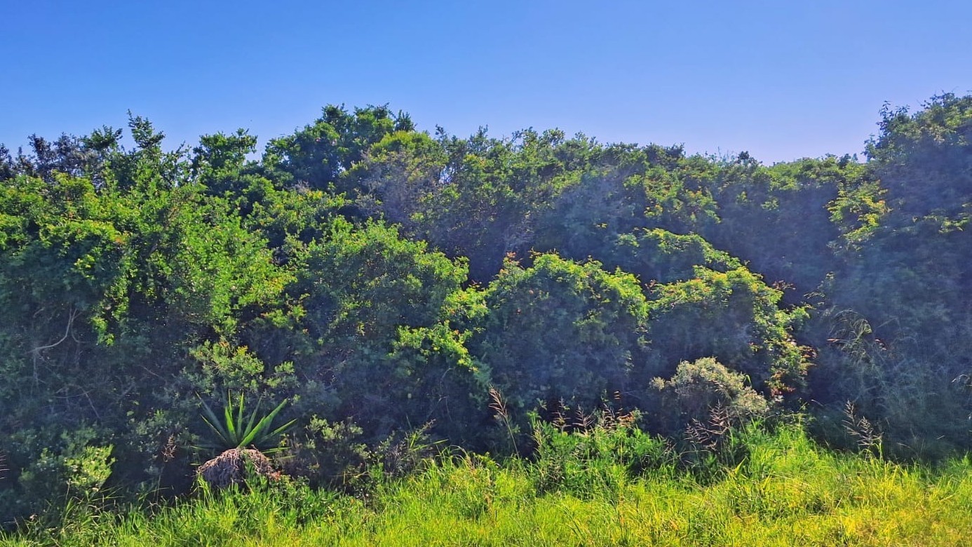 Vacant Land for Sale in Aston Bay - Build Your Dream Coastal Home