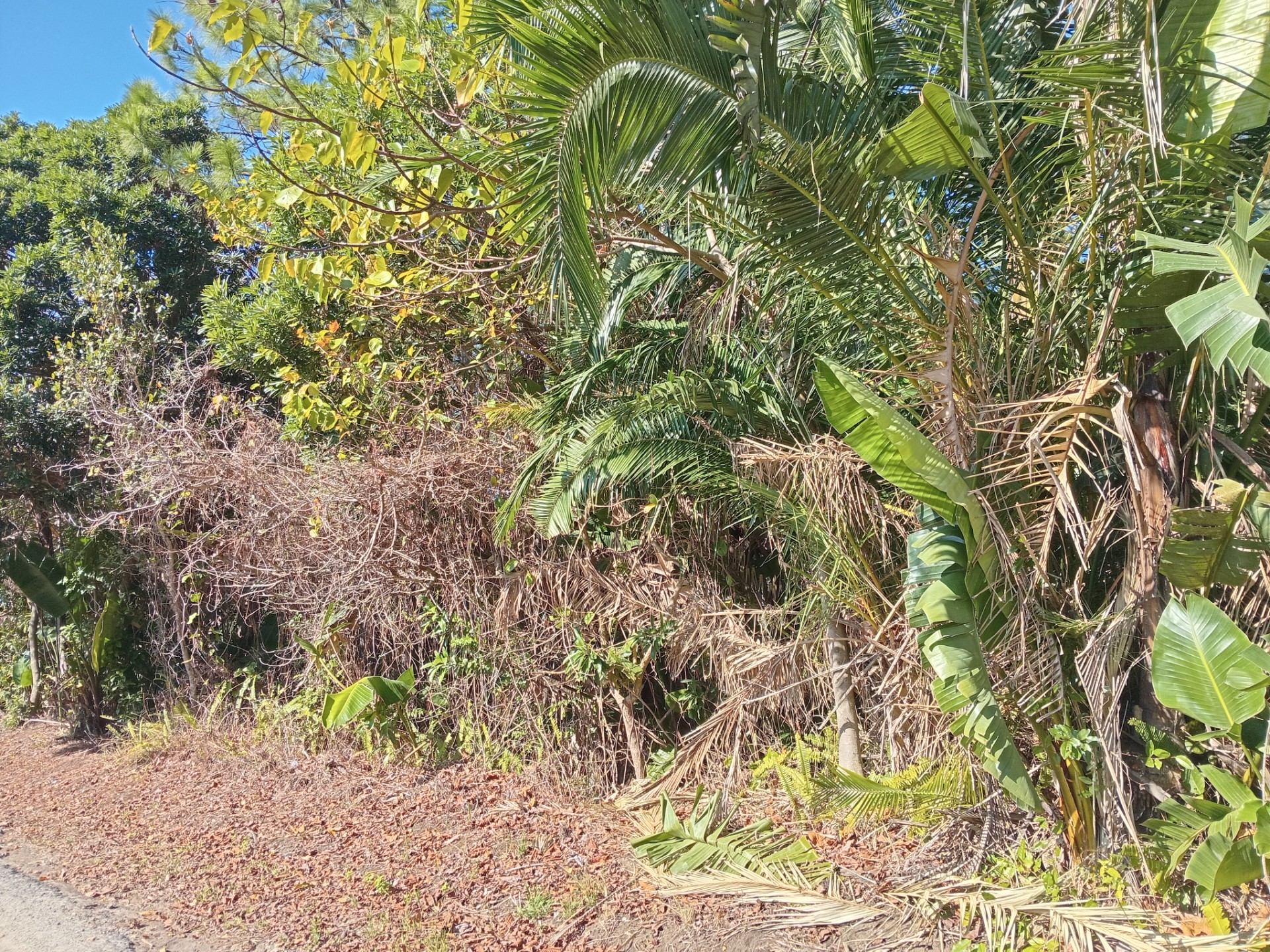 BUILD YOUR DREAM HOME IN A PEACEFUL COASTAL SETTING!