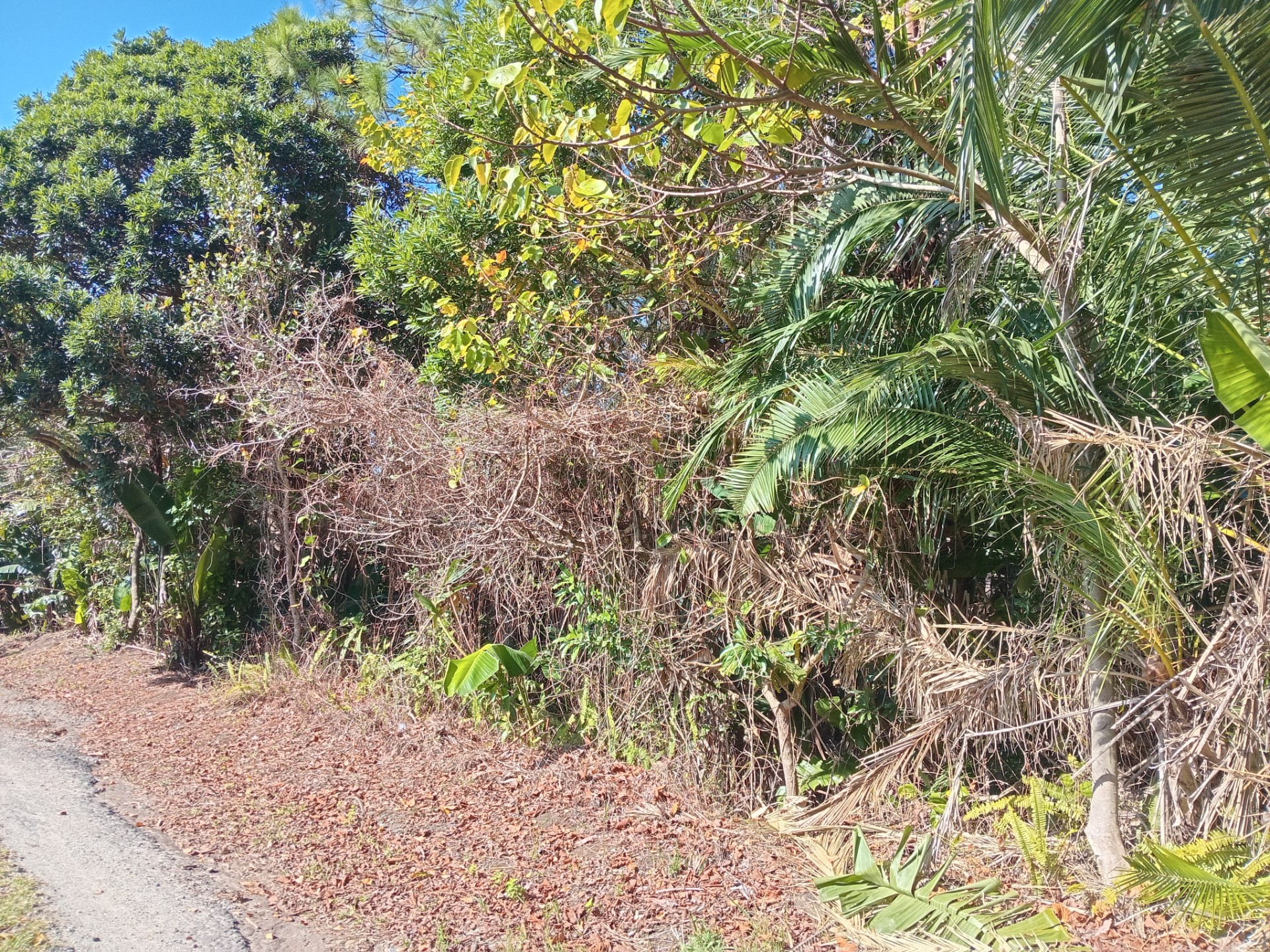 BUILD YOUR DREAM HOME IN A PEACEFUL COASTAL SETTING!