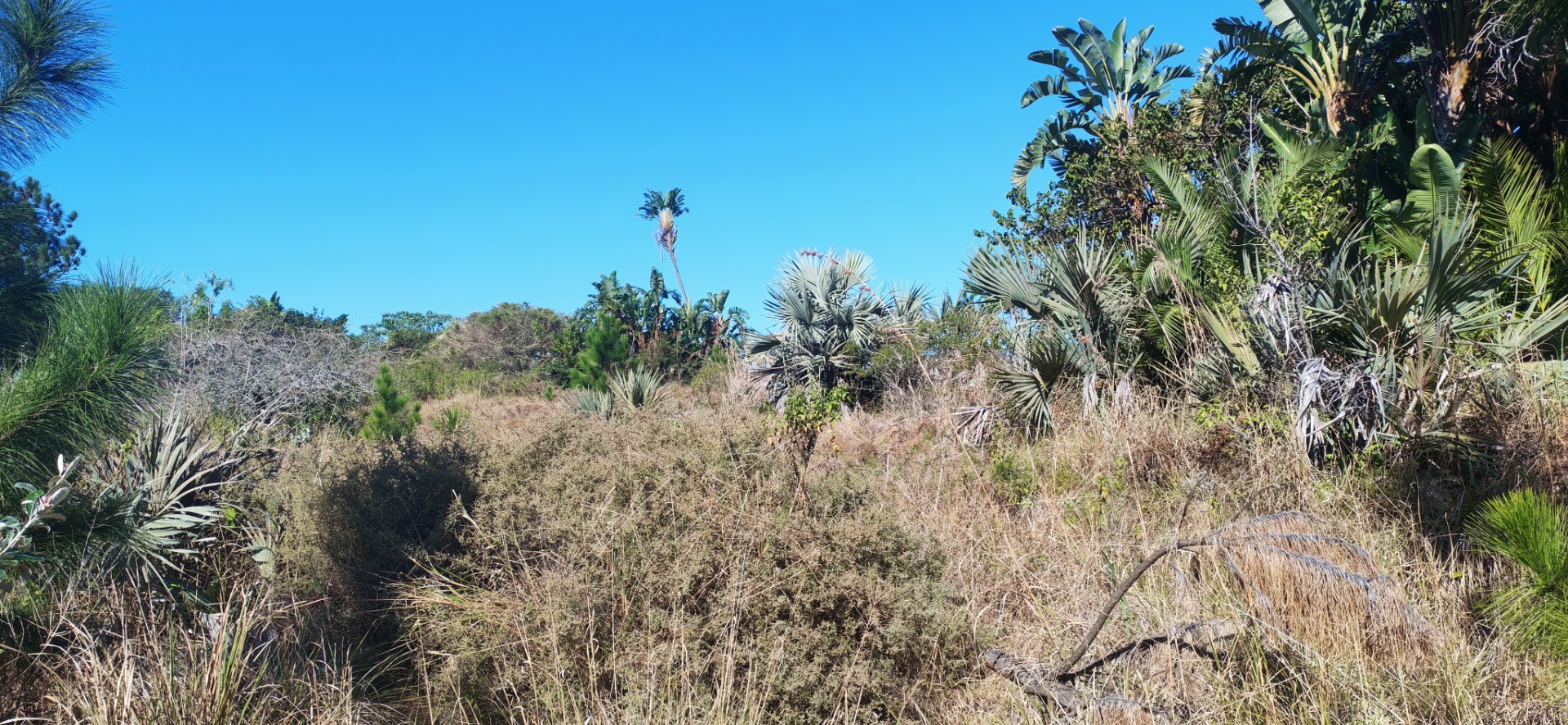 Sea view Vacant Land For Sale in Palm Beach, Port Edward, KwaZulu Natal