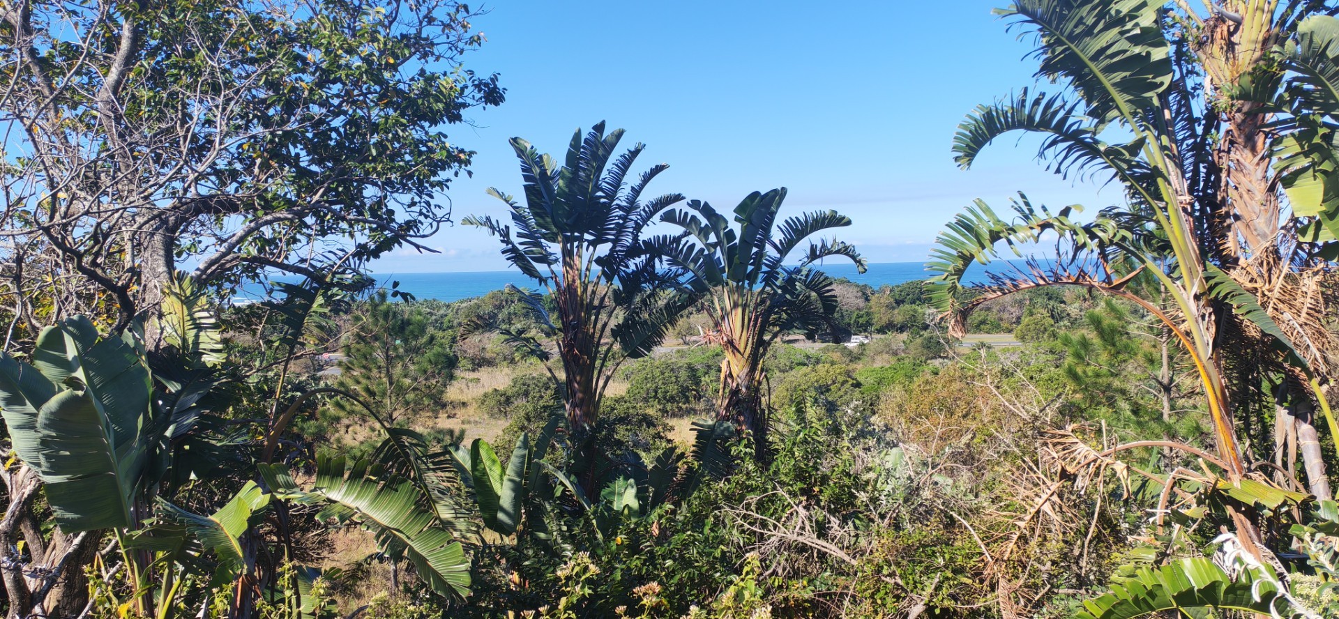 Sea view Vacant Land For Sale in Palm Beach, Port Edward, KwaZulu Natal