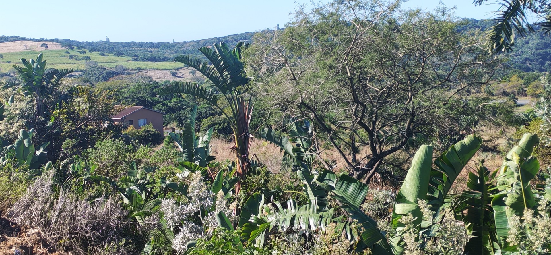 Sea view Vacant Land For Sale in Palm Beach, Port Edward, KwaZulu Natal