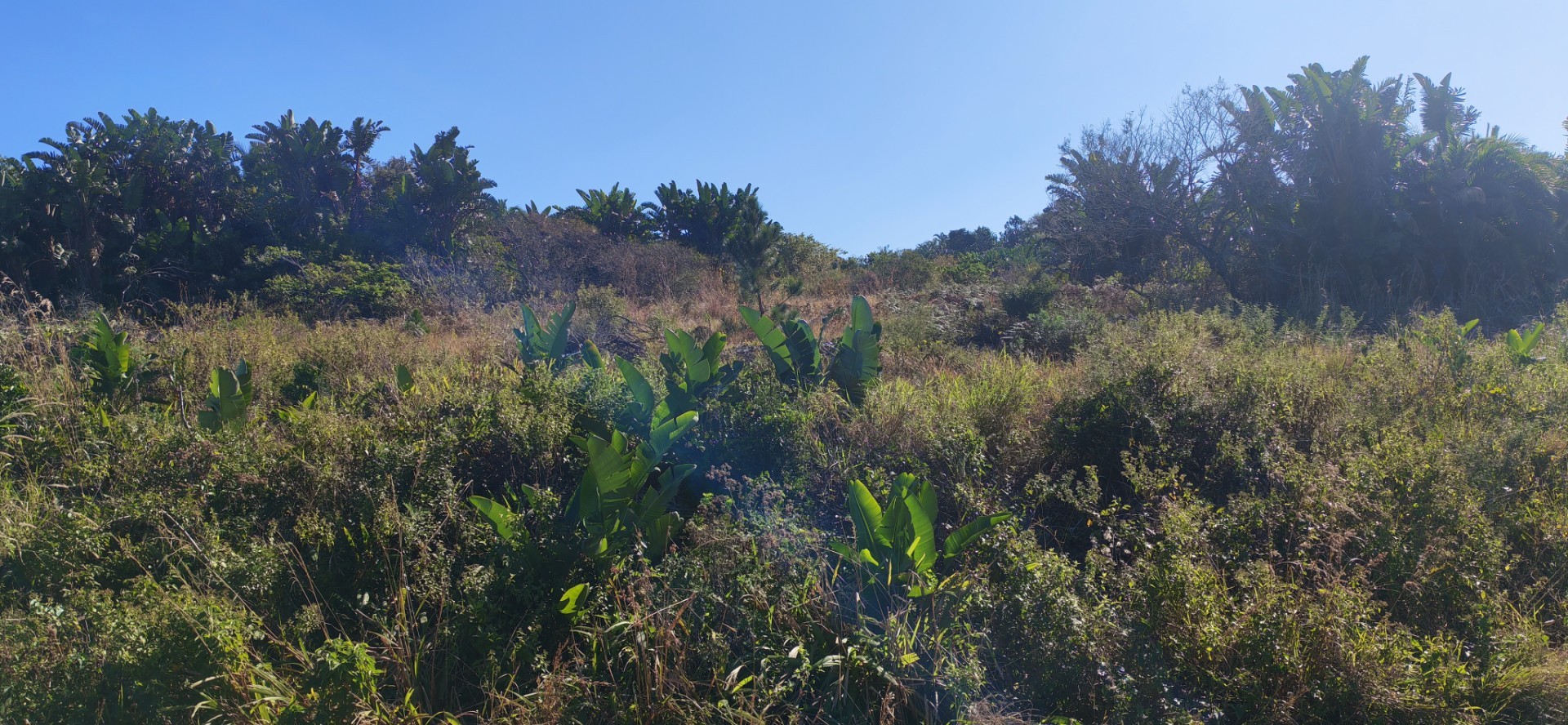Sea view Vacant Land For Sale in Palm Beach, Port Edward, KwaZulu Natal