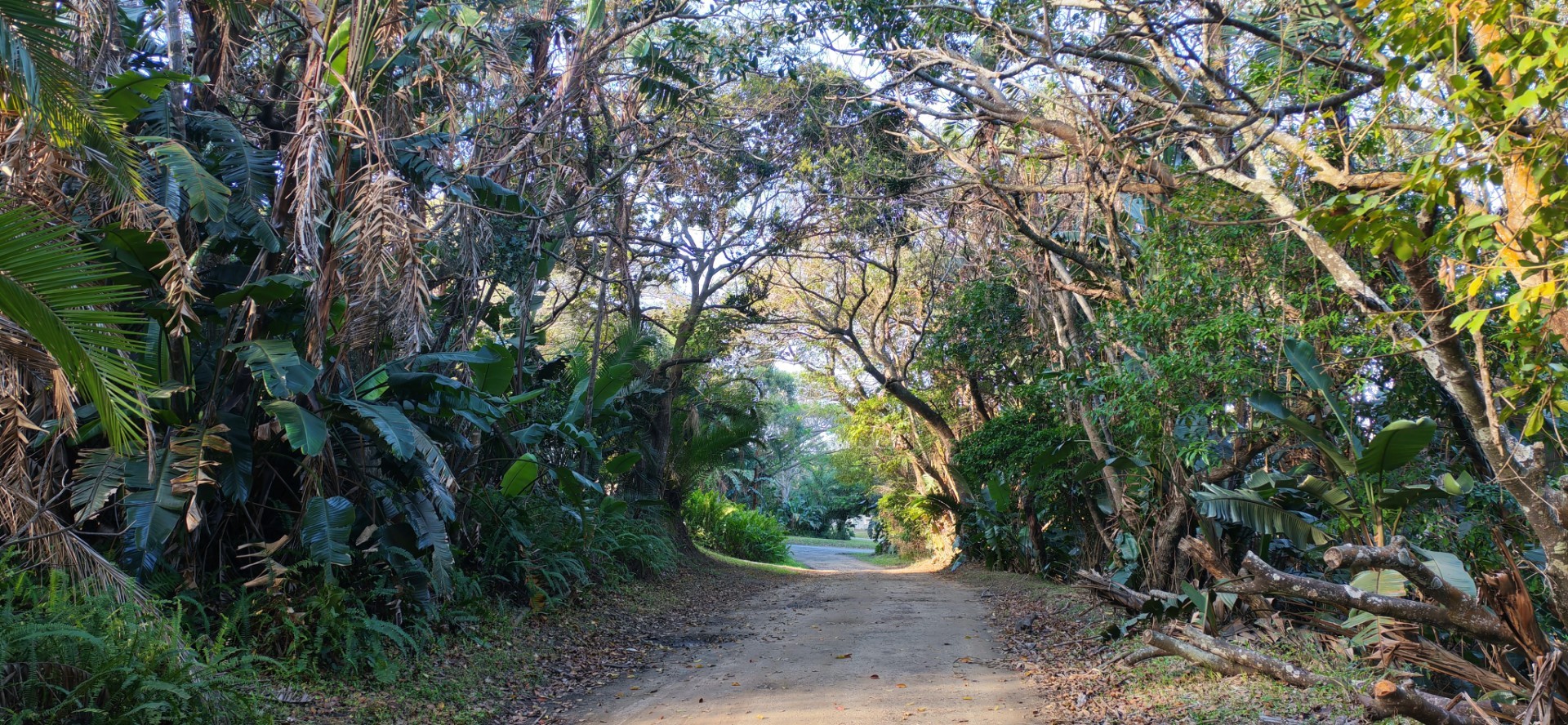 Coastal Land For Sale in Leisure Bay, Port Edward, KwaZulu Natal