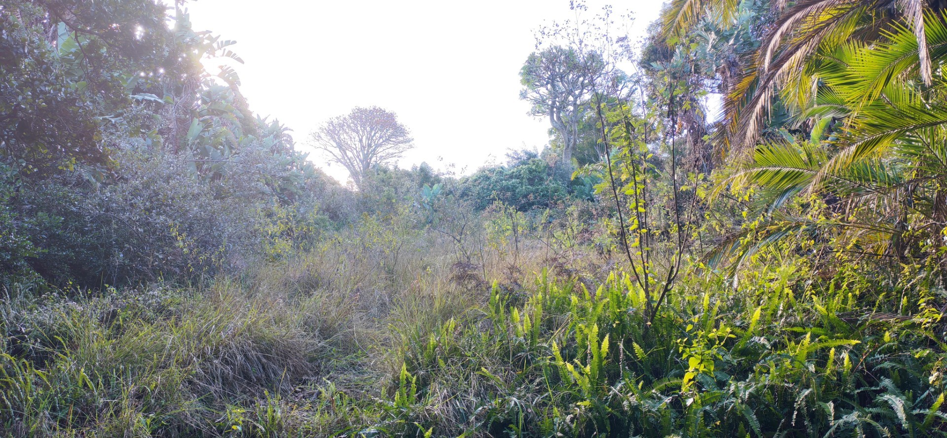 Coastal Land For Sale in Leisure Bay, Port Edward, KwaZulu Natal