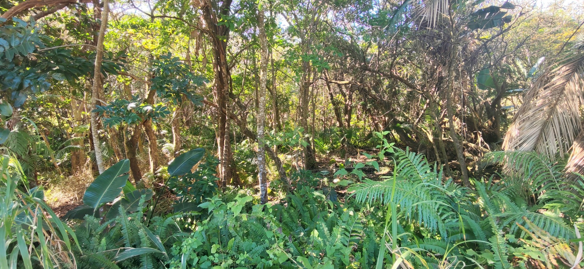 Coastal Land For Sale in Palm Beach, Port Edward, KwaZulu Natal