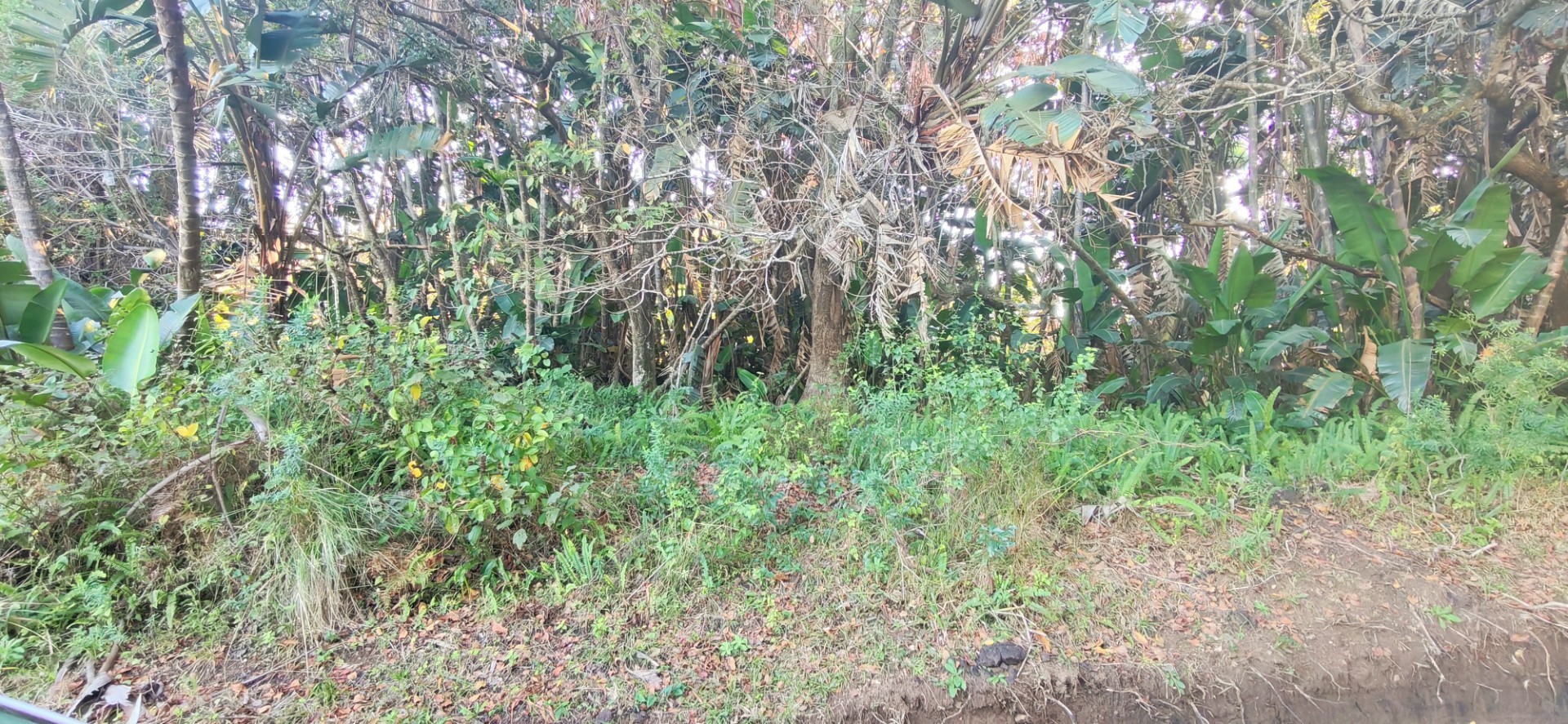 Vacant Land For Sale in Leisure Bay, Port Edward, KwaZulu Natal