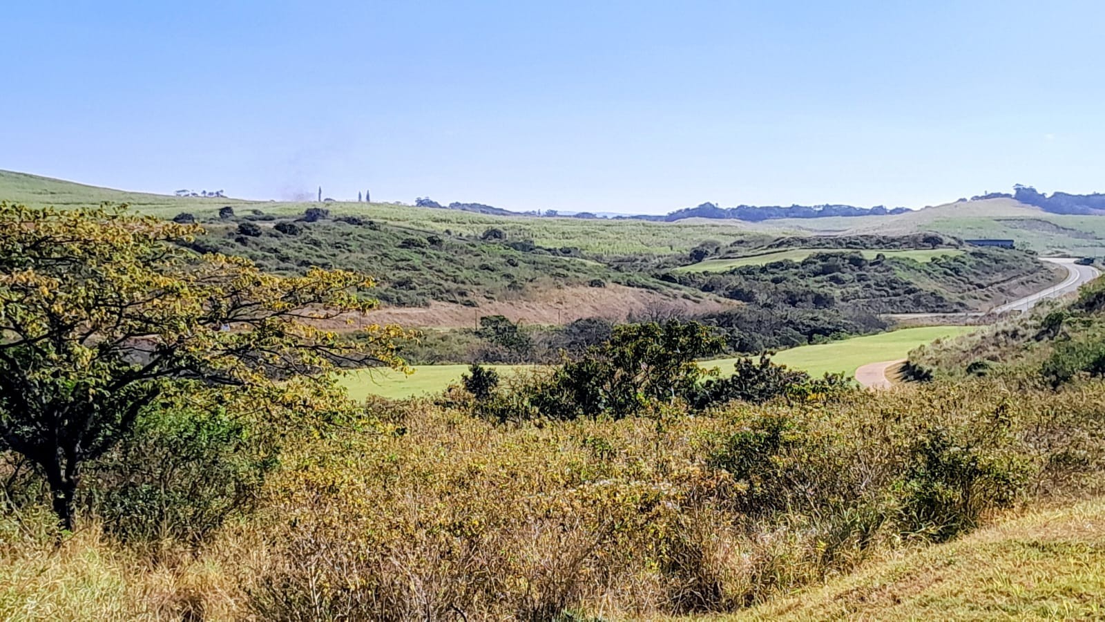 Where Vision Meets Prestige - An Exceptional Homesite at Zimbali Lakes Resort