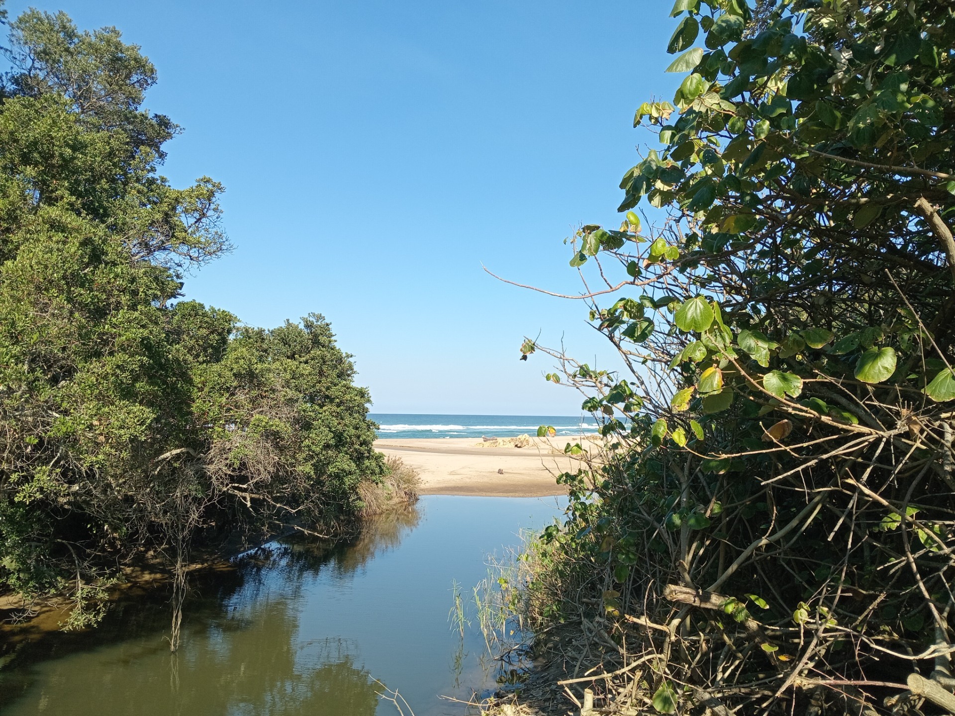 YOUR COASTAL DREAM STARTS HERE - KIDDS BEACH