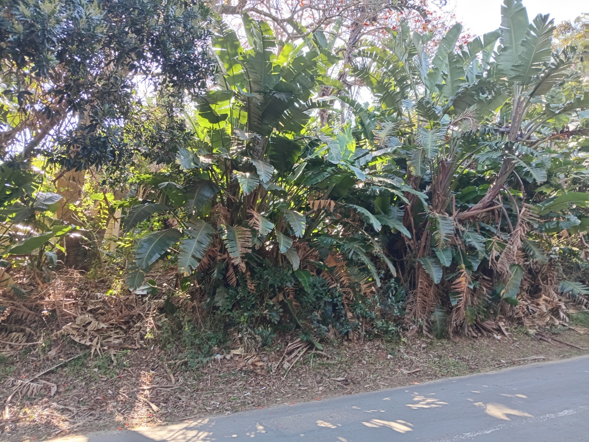 Vacant Land for sale in Leisure Bay, Port Edward, KwaZulu Natal, 1283 m²