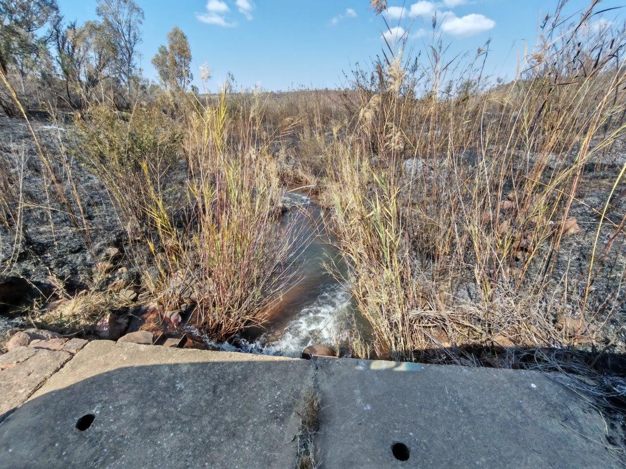 Scenic 261.5-Hectare Farm with Multiple Dwellings - Only 13 km from Bela Bela, Limpopo