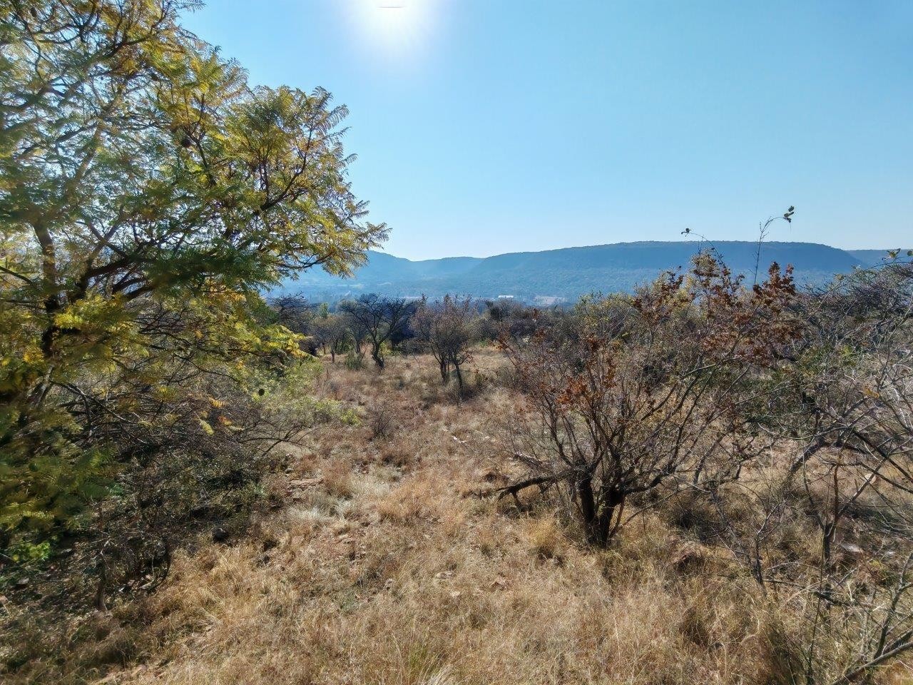 Scenic 261.5-Hectare Farm with Multiple Dwellings - Only 13 km from Bela Bela, Limpopo