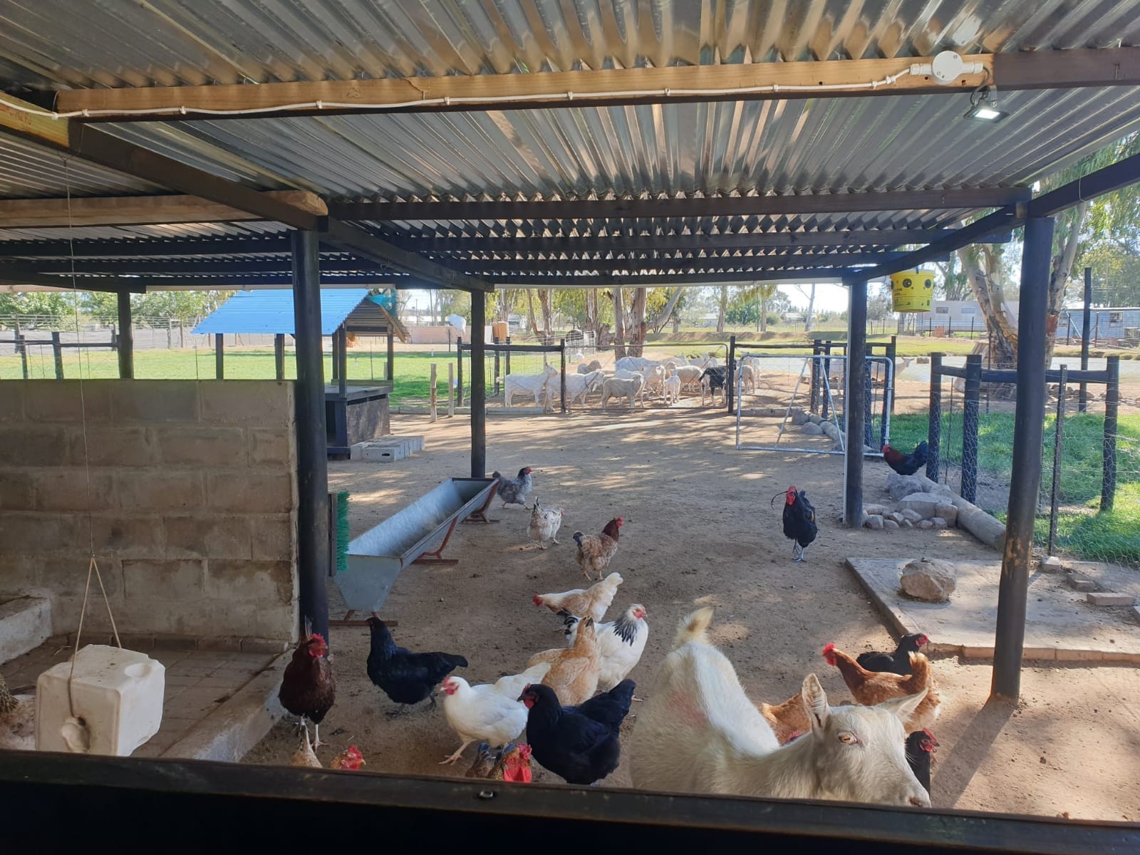 Established Off-Grid Lifestyle Smallholding in Nieuwoudtville