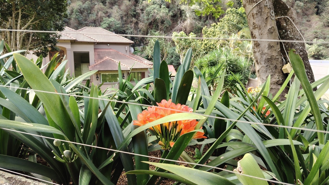 You couldn't wish for better in Westville