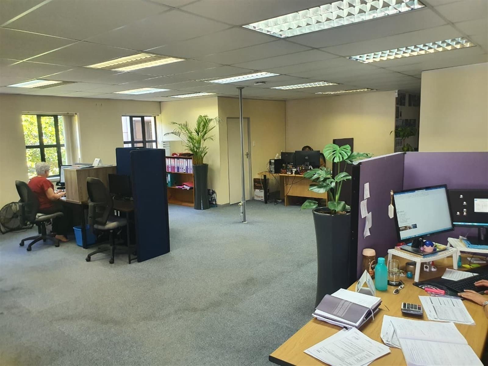 Office To Rent in Newton Park, Port Elizabeth