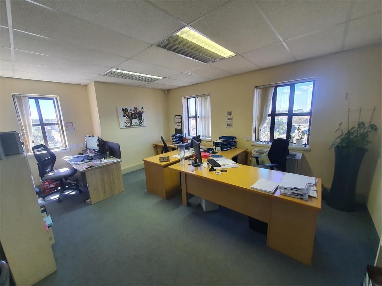Office To Rent in Newton Park, Port Elizabeth