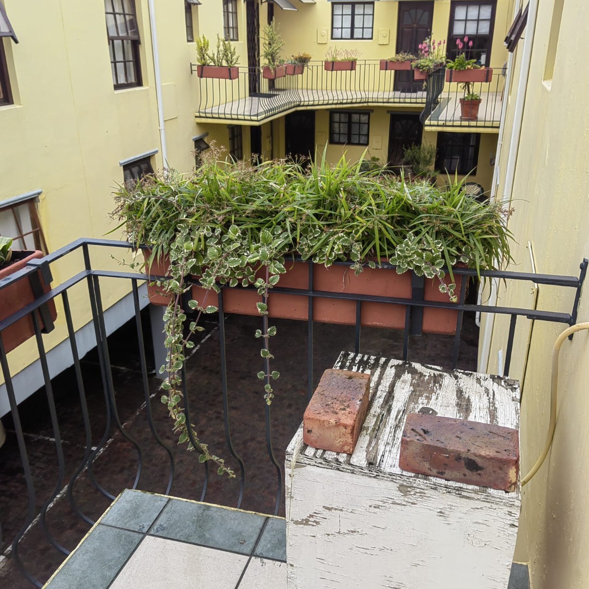 Apartment for rent in Knysna Central, Knysna