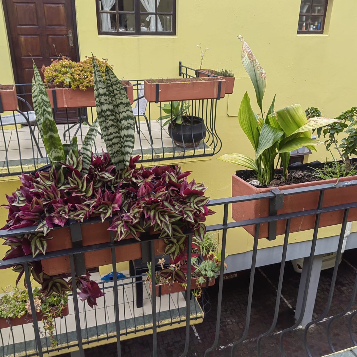 Apartment for rent in Knysna Central, Knysna