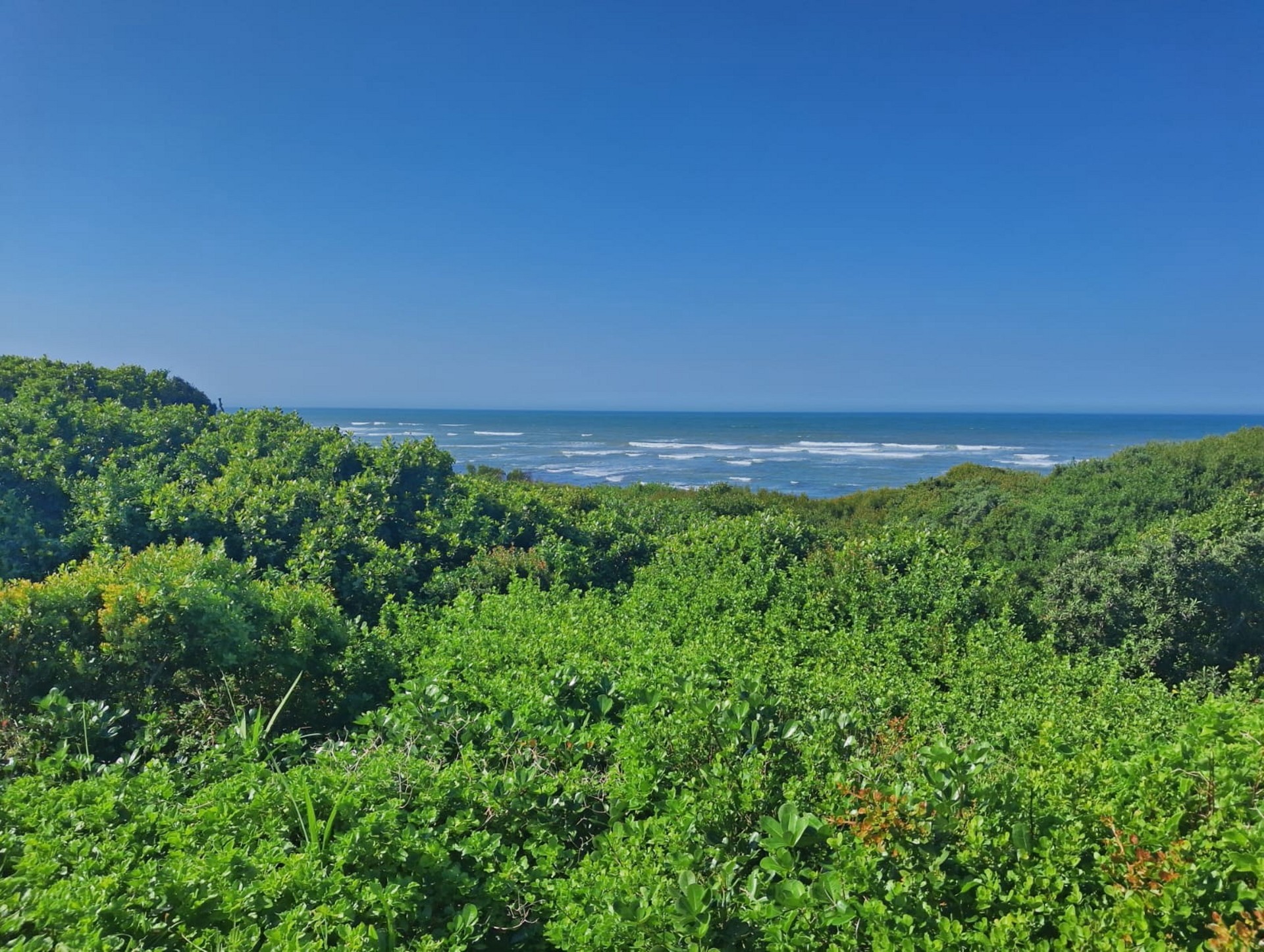 Beachfront Stand with Panoramic Ocean Views for Sale in Paradise Beach, Jeffreys Bay