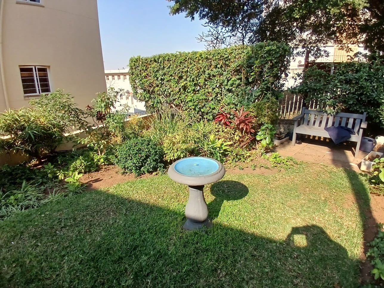 Apartment To Rent  Musgrave Durban KwaZulu Natal