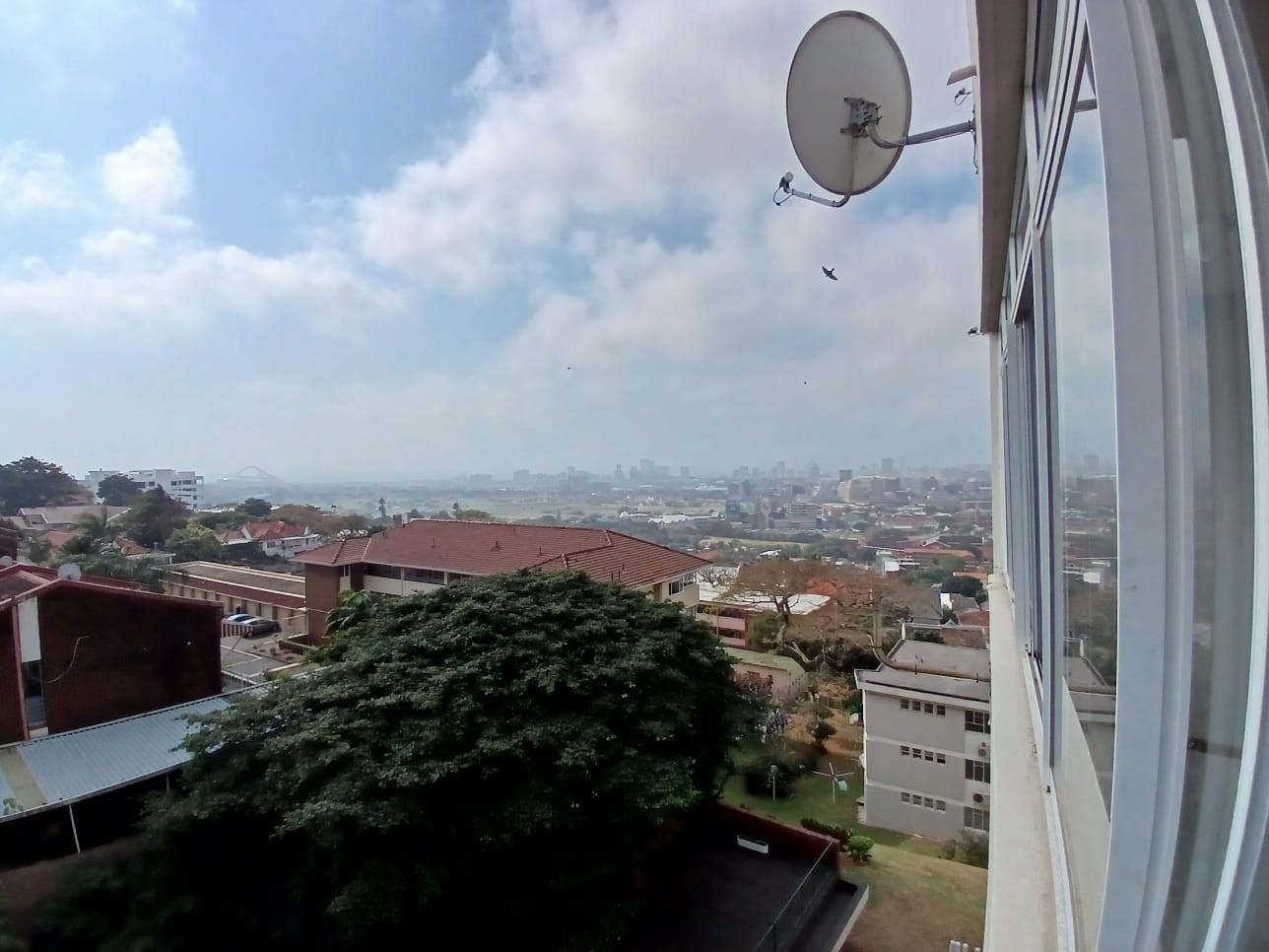 Apartment To Rent in Musgrave, Durban, KwaZulu Natal
