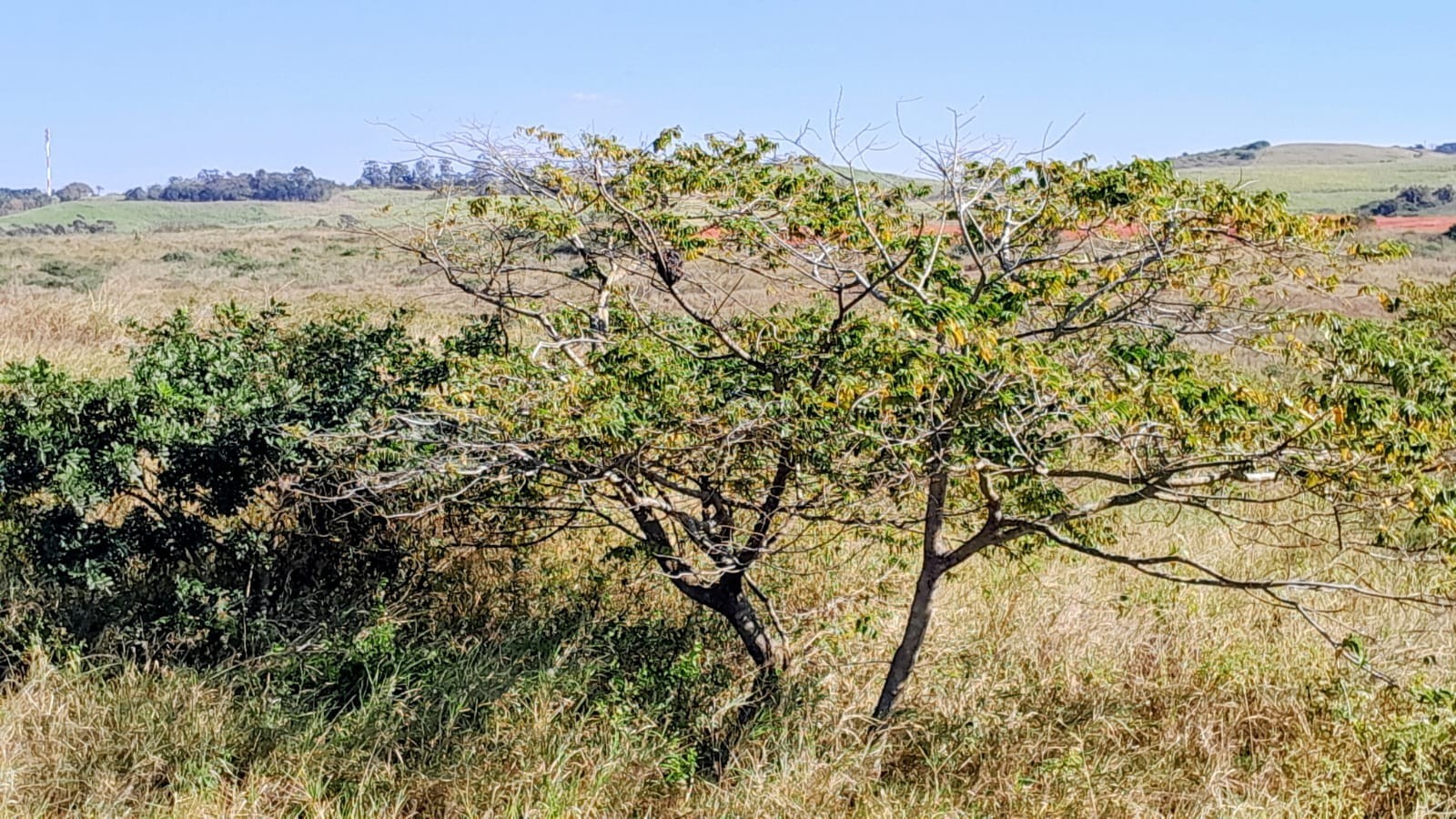 A Rare Canvas for Architectural Excellence Vacan Land for Sale, Zimbali Lakes Resort