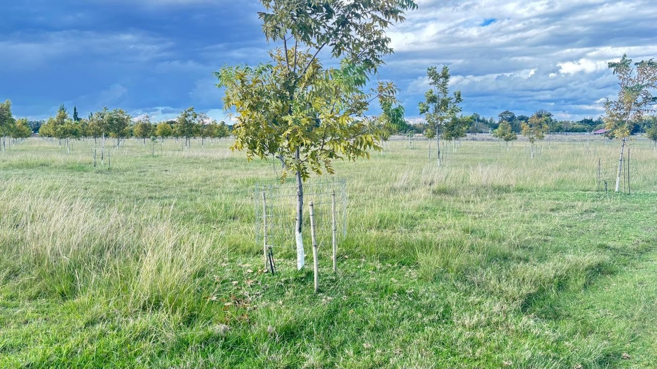 Small Holding For Sale in Ebner On Vaal, Vanderbijlpark