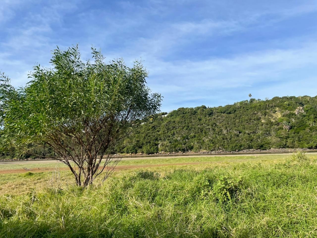 Vacant Land in Gqunube Green Ecovillage | 1289m² | Secure Eco Estate Living