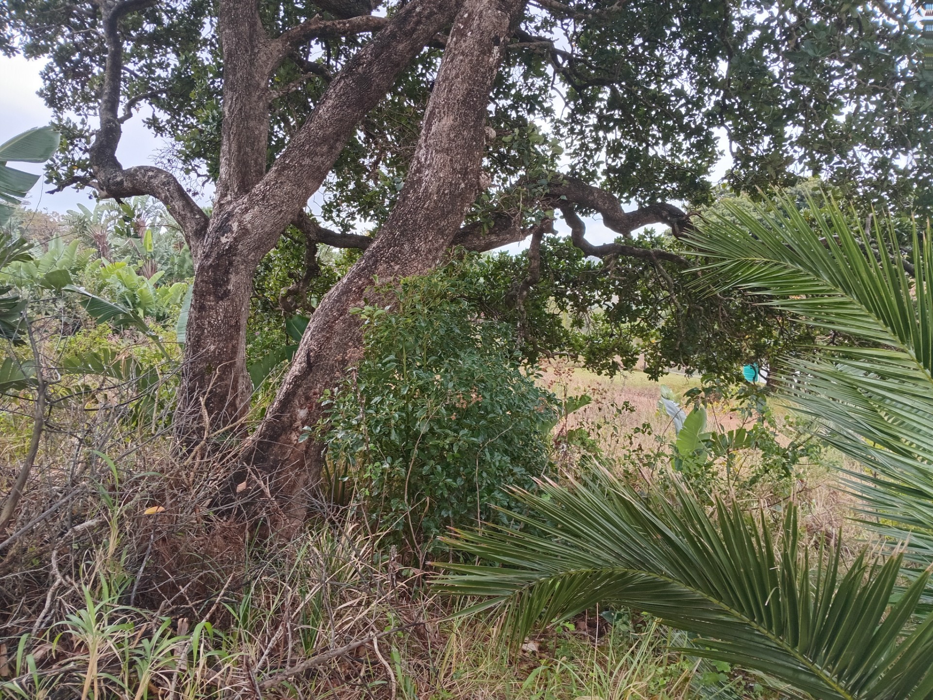CREATE YOUR FAMILY SANCTUARY IN BEAUTIFUL PALM BEACH
