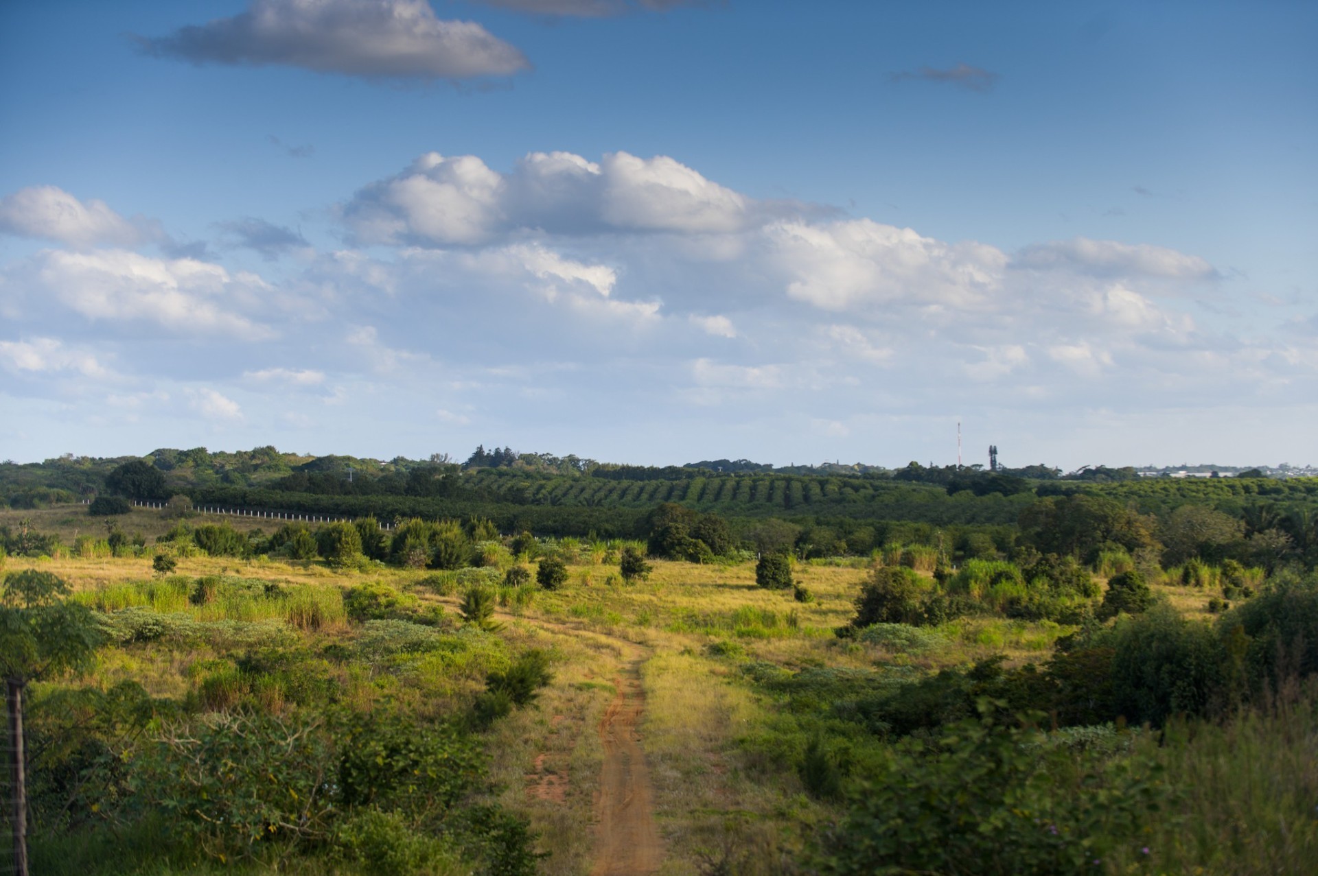 Over 1,000 m² of Land in Lalela Estate for Under R1 Million