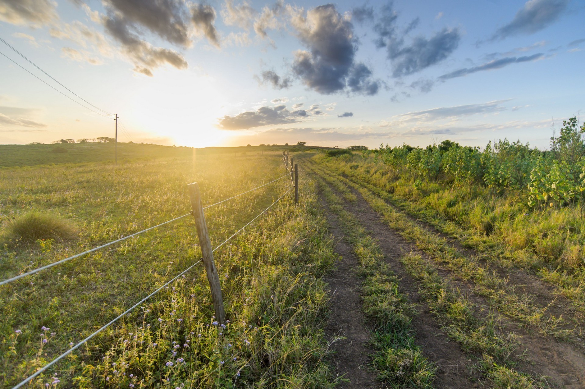 Over 1,000 m² of Land in Lalela Estate for Under R1 Million