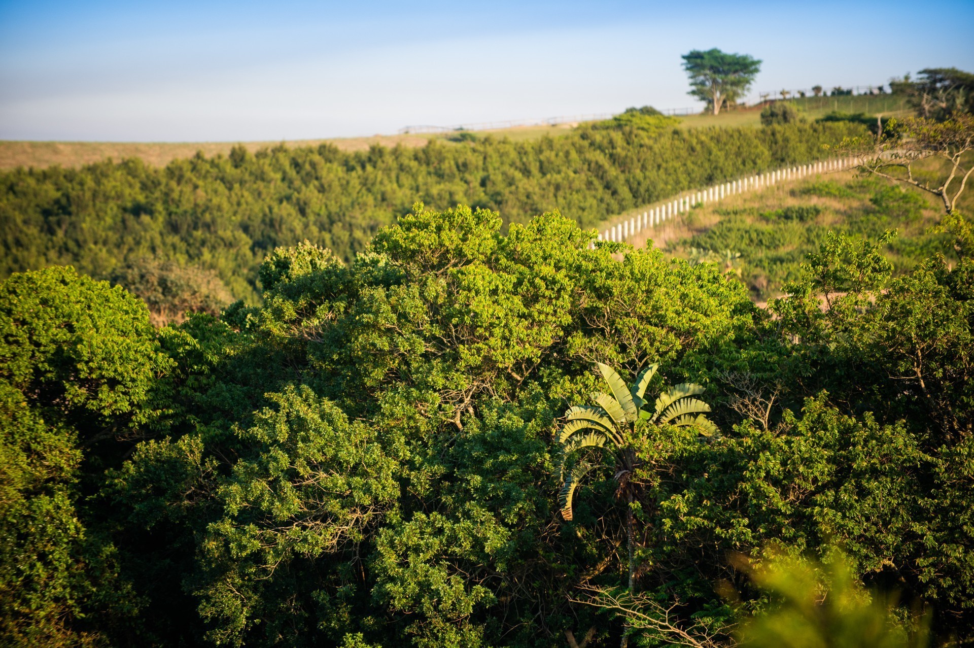 Over 1,000 m² of Land in Lalela Estate for Under R1 Million