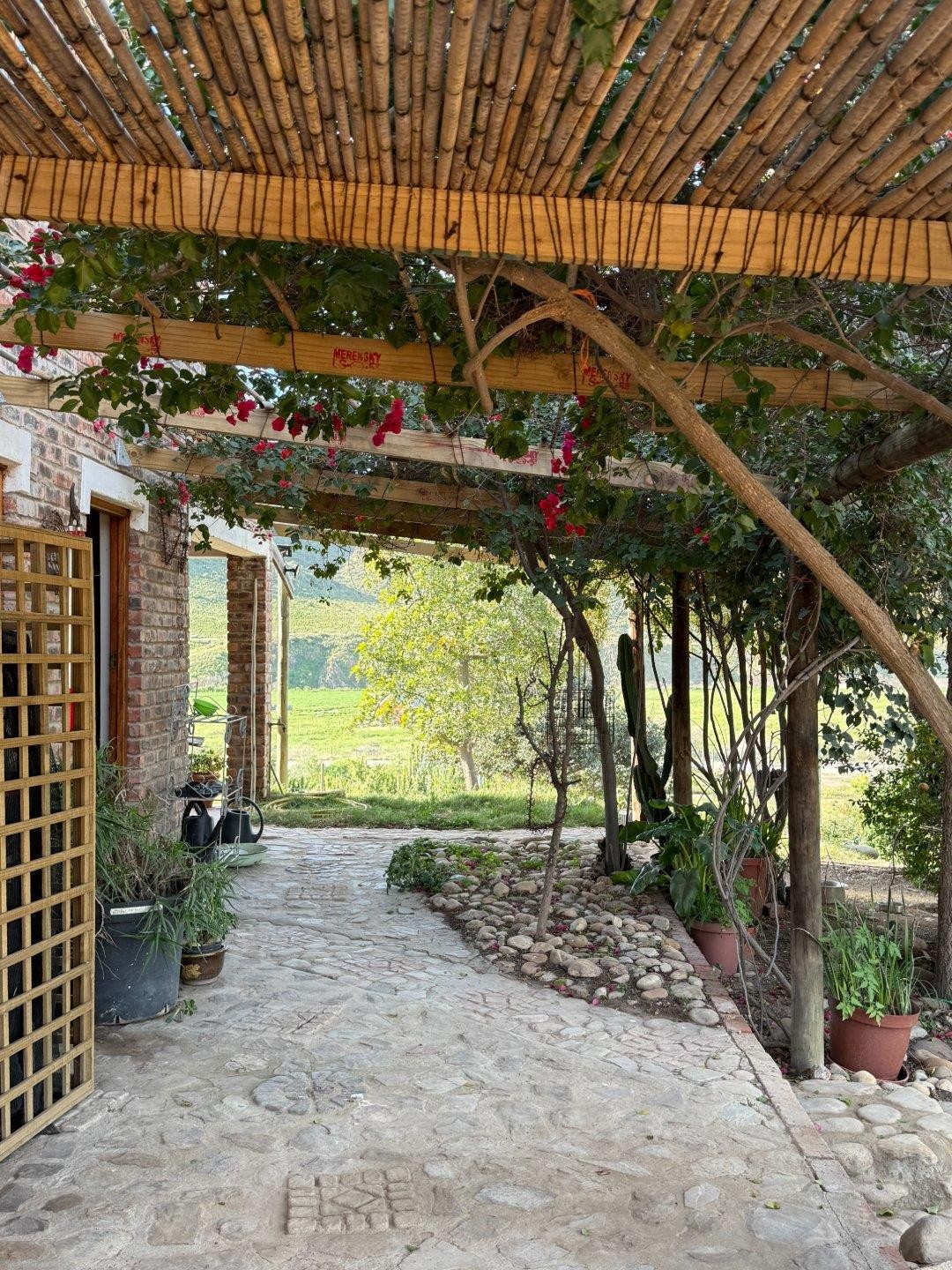 Farm for sale in Van Wyksdorp, Ladismith, 229 Buffelfontein, Van Wyksdorp, Ladismith, Western Cape, 520000 m²