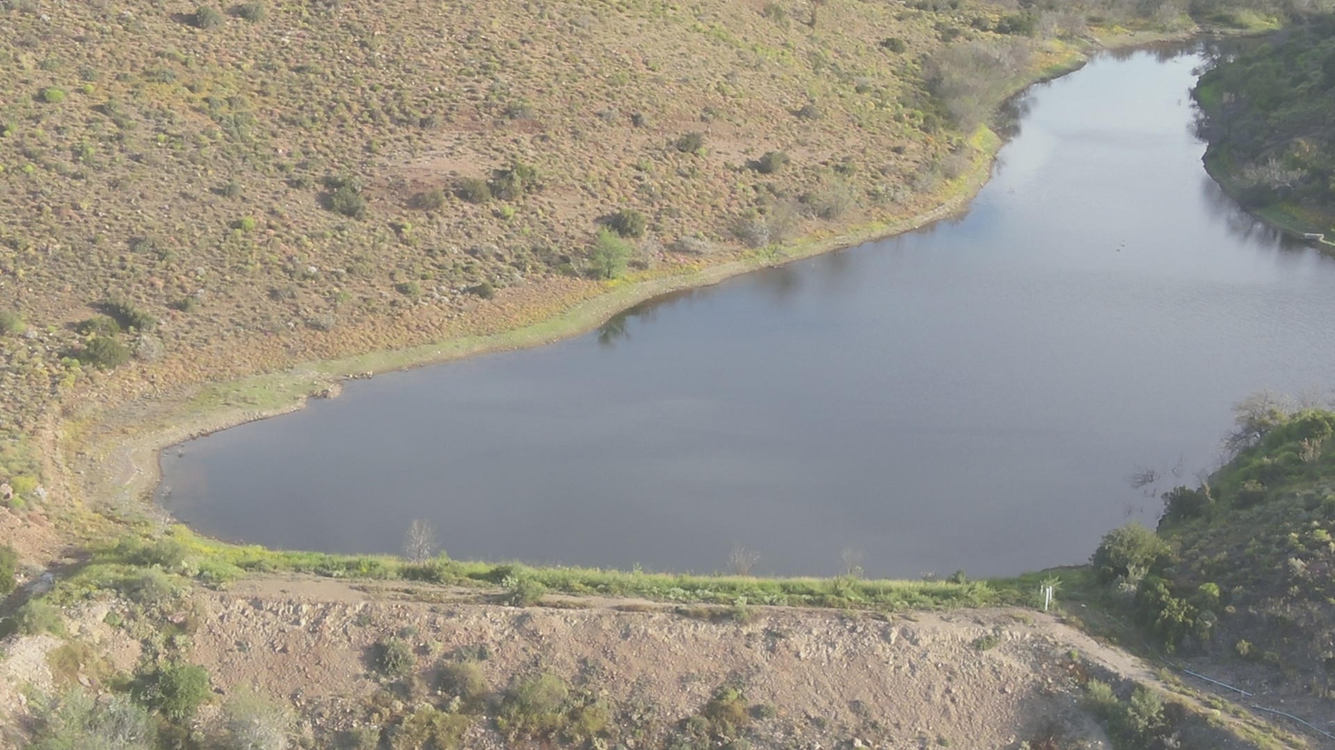 Farm for sale in Van Wyksdorp, Ladismith, 229 Buffelfontein, Van Wyksdorp, Ladismith, Western Cape, 520000 m²