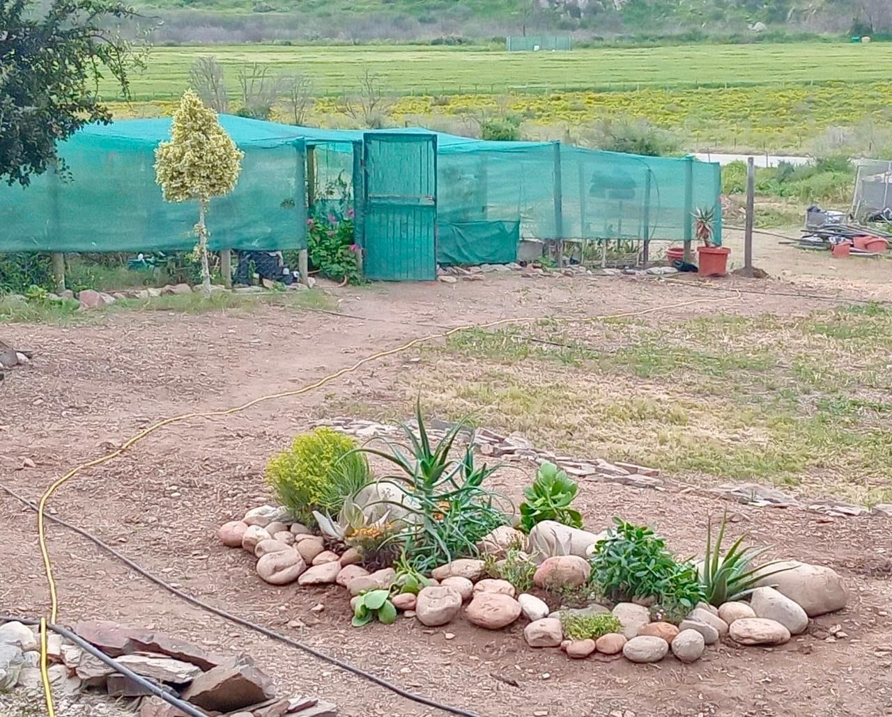 Farm for sale in Van Wyksdorp, Ladismith, 229 Buffelfontein, Van Wyksdorp, Ladismith, Western Cape, 520000 m²