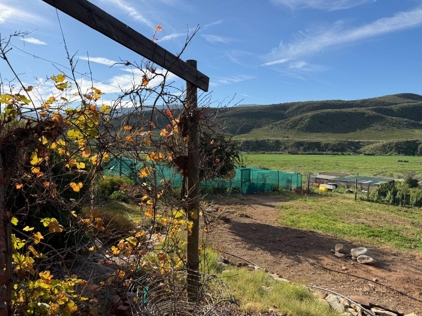 Farm for sale in Van Wyksdorp, Ladismith, 229 Buffelfontein, Van Wyksdorp, Ladismith, Western Cape, 520000 m²