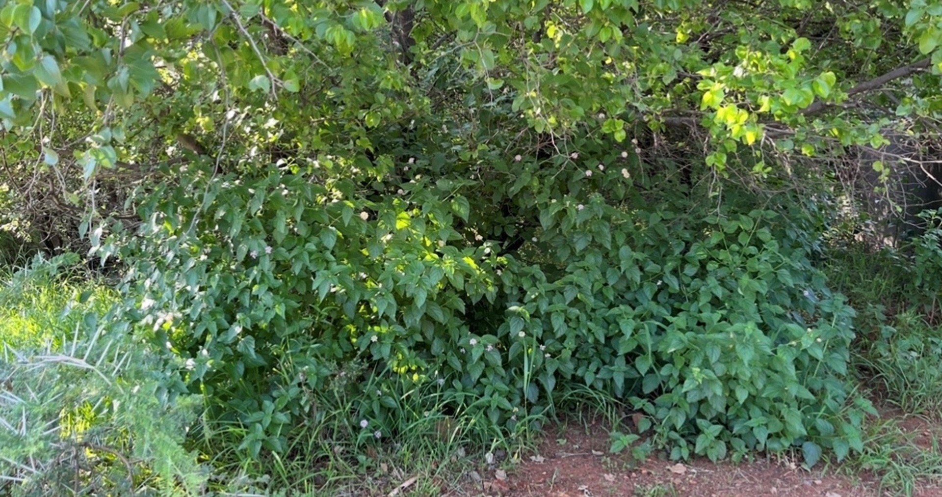 Vacant Land For Sale in Seasons Lifestyle Estate, Hartbeespoort, North West