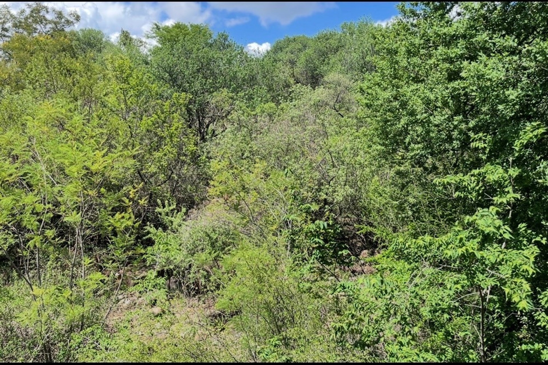Vacant Land For Sale in Seasons Lifestyle Estate, Hartbeespoort, North West