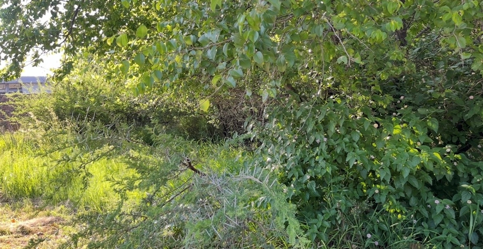 Vacant Land For Sale in Seasons Lifestyle Estate, Hartbeespoort, North West