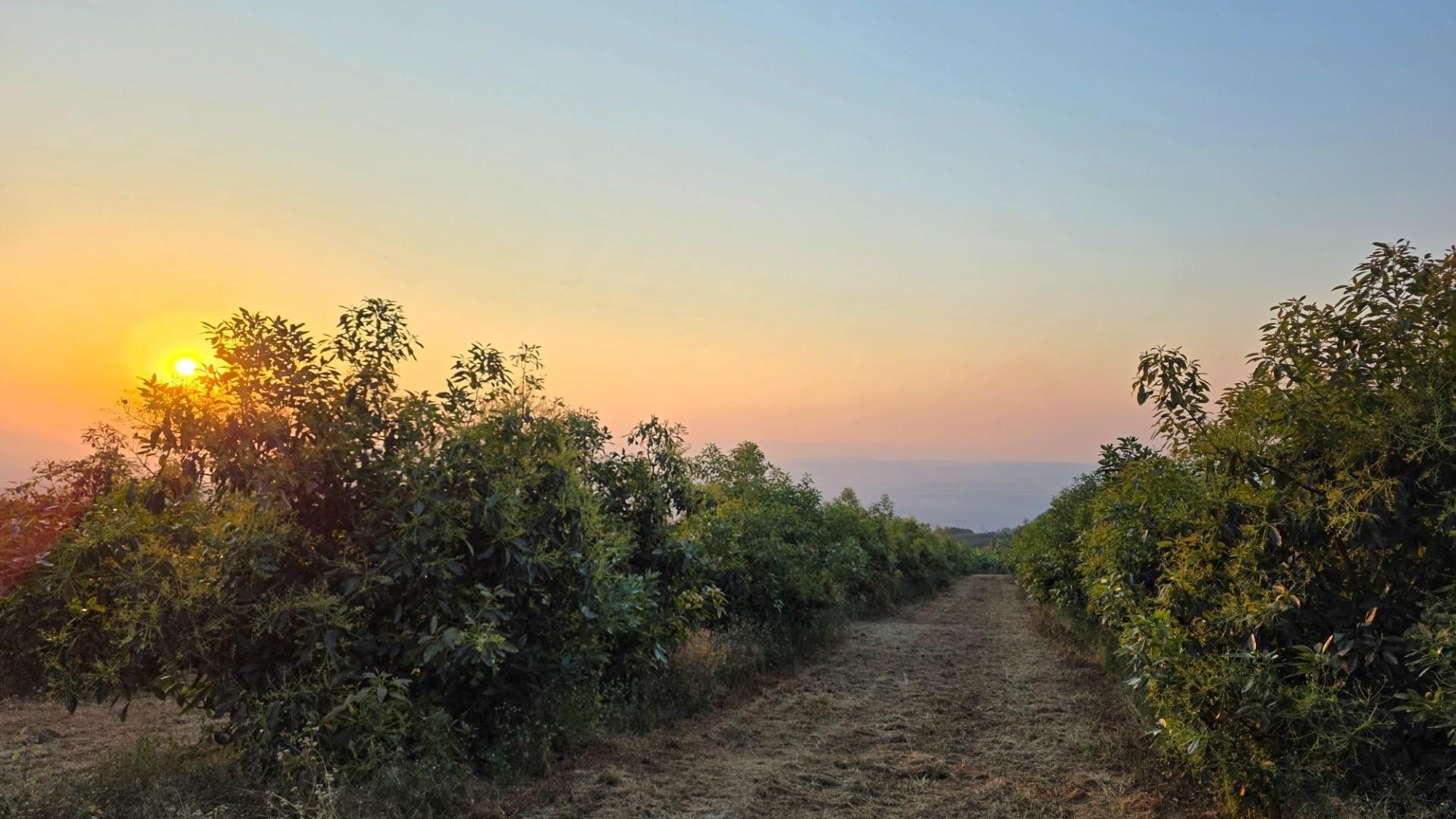 Farm for sale in Hazyview, 802000 m²