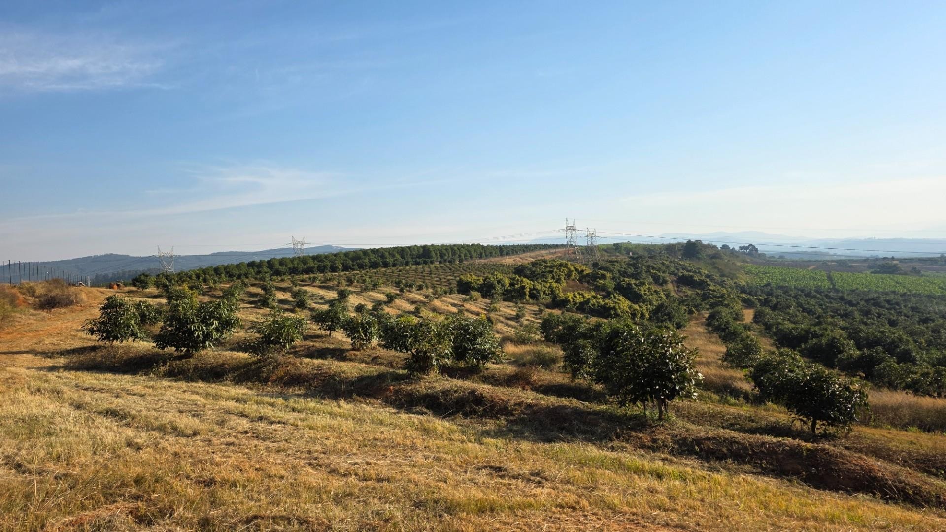 Farm for sale in Hazyview, 802000 m²
